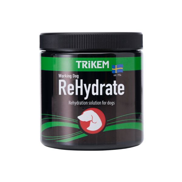 WorkingDog Rehydrate